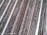 کارتن خالی کارتون اسباب کشی | کارتن محمد