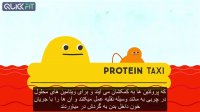 ویتامین چیست؟ چرا بدن ما به ویتامین ها برای بقا نیازمند است