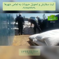 فروش انواع لوبیاچیتی