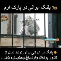 قسمت (٣) پلنگ ایرانی از كشور پرتغال وارد پارك  ارم شد