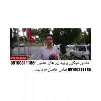 درمان قطعی بیماری های عصبی و میگرن + سردرد + استرس و اضطراب