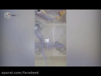 مرگ وحشتناک اپراتور بر اثر سقوط جرثقیل