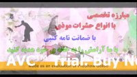 سمپاشی ساختمان