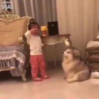 همدردی سگ بامزه با کودک خانواده