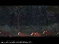 قصه ی شب برای کودکان | کلیپ داستان فارسی