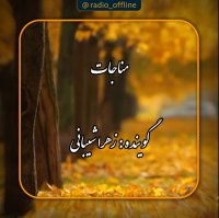 وقتی تو می آیی بهار می آید
