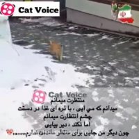 منتظرت میمانم