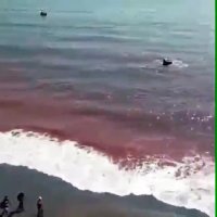 تور قشم-رزرو آنلاین تورهای قشم