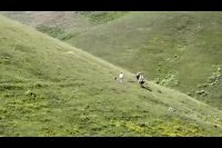 باغ دولت آباد باغی حیرت انگیر و جذاب در دل کویر یزد