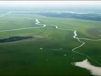 رود آمازون پر آب ترین رود جهان