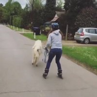 اسکیت سواری با " پونی "