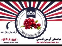 خرید نهال زغال اخته 09141811520