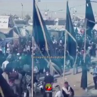 حسین اجازه داده بیام حرم پیاده | کلیپ اربعین | کلیپ زیبای اربعین | نزار قطری