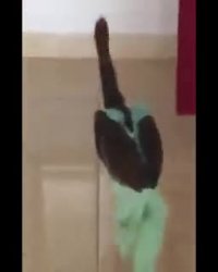 مراقب‌های امتحان نهایی سر جلسه