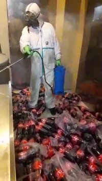 سمپاشی با قیمت مناسب و خدمات شبانه روزی | 09190445812