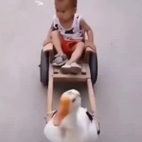 غاز سواری { کلیپ طنز }