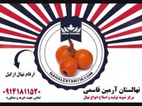 خرید نهال ازگیل 09141811520