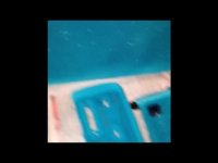 پخش پودر مخمل ترک در تبریز 09399815524