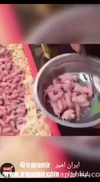 این چینی ها به هیچ موجود زنده ای رحم نمیکنن!!!