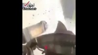 فیلم/ تصادف وحشتناک موتورسوار با سرعت مرگبار