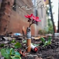 تو کوچه ماهم عروسی میشه