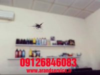 تعمیر شیشه خودرو-ترمیم شیشه اتومبیل09126846083