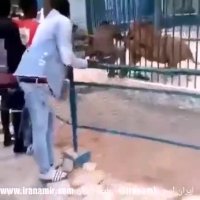 سلطان با کسی شوخی نداره !!!