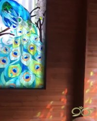 طراحی طاووس روی شیشه دکوراتیو و تزئینی رستوران میلاد ابهر