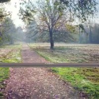 قیمت ال ای دی ایکس ویژن - انتخاب سنتر