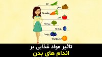 مواد غذایی چه تاثیری بر اندام های مختلف بدن دارند؟ - آنی بین