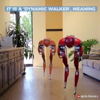 عملکرد بی نظیر ربات ها در زمین های ناهموار!