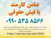 ضامن کارمند با فیش حقوقی - 09905358566 - زرنیاز