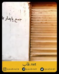 1 روز تا اکران فیلم جذاب شنای پروانه