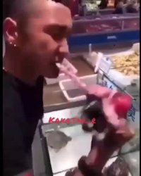 عامل اصلی ویروس کرونا