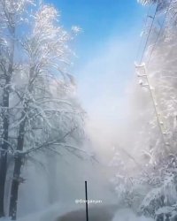 طبیعت گردی ایران قسمت 8