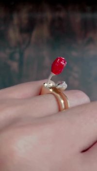 انگشتری خاص با گلهای رز در میان کتاب عشق