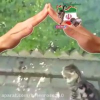 واگذارى گربه مظلوم ونازنینى كه بایه پاقطع شده رها كردند