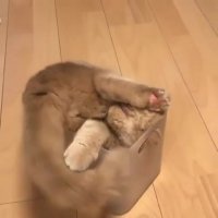 آخه این چکاریه با خودت کردی