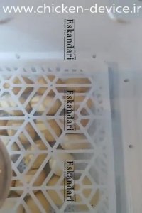 راندمان عالی در دستگاه جوجه کشی 96 تایی