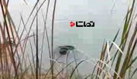 لحظه کشف جسد یک مرد در کانال آب هفت‌ تپه