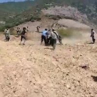 پرویز پرستویی از بی رحمی با حیوانات می گوید