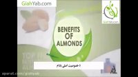 با مهمترین خواص بادام آشنا شوید
