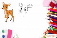 آموزش نقاش حیوانات(2): بچه گوزن