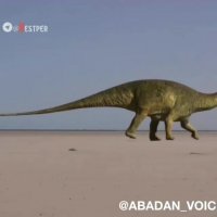 عید قربان به روش آبادانی ها !