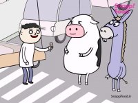 سوریلند جدید: هم‌طویله‌ای - شهر برای همه