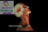 منتخب ترین مرکز کاردرمانی در البرز 09121623463|فردیس فلکه دوم 17 شهریور فرعی گلستان 1