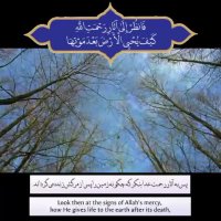 تلاوت زیبای آیات بهاری از قرآن