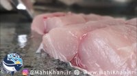 خرید ماهی جنوب - ماهی خان