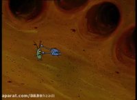 کارتون باب اسفنجی دوبله فارسی