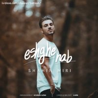آهنگ جدید شاهین میری عشق ناب